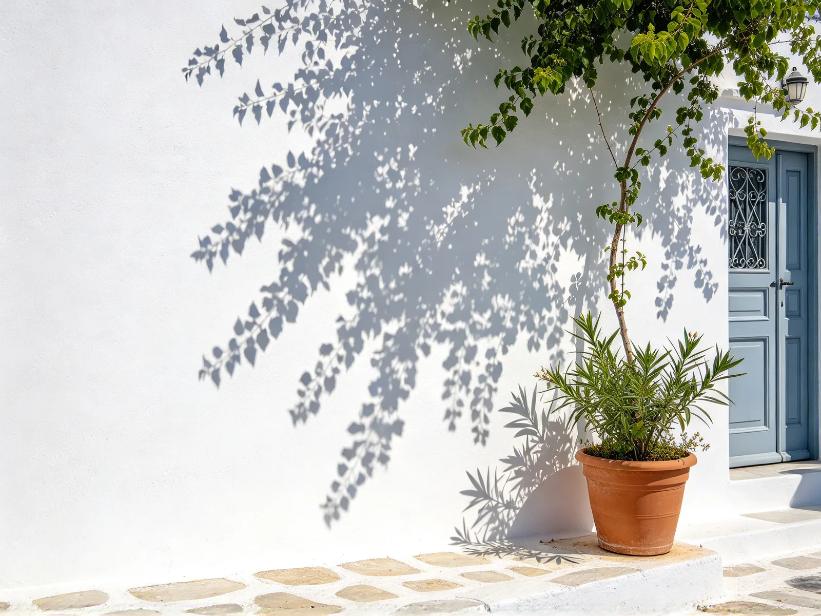 Which shadows come out cleanly